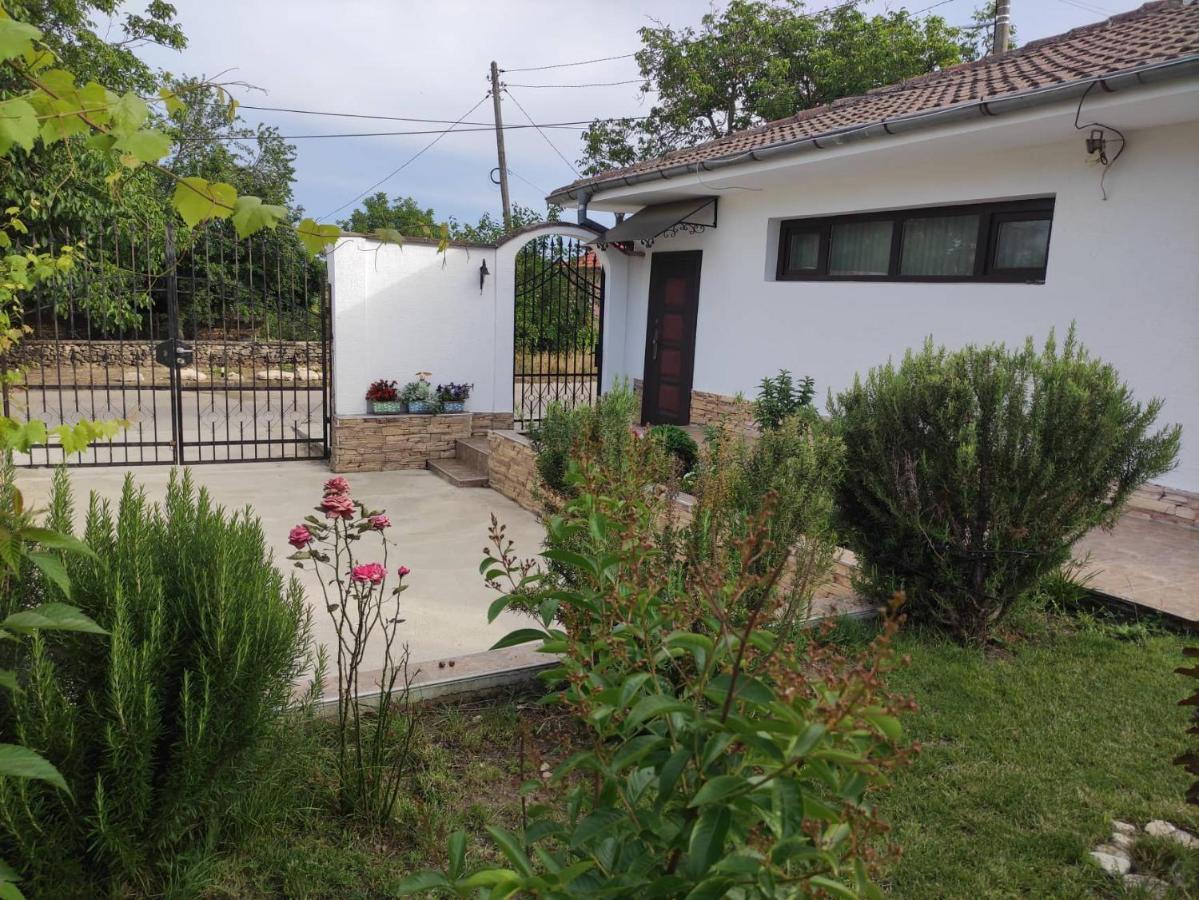 Studio Oasis-Szabła Zewnętrze zdjęcie